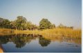 okavango1011